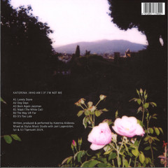 Who Am I If I'm Not Me