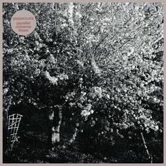 Parallel Universe Blues LP