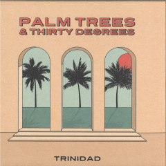 Palm Trees & Thirty Degrees 2x12"