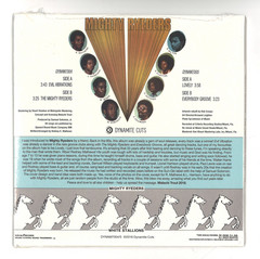 Evil Vibration Collection 2x7"