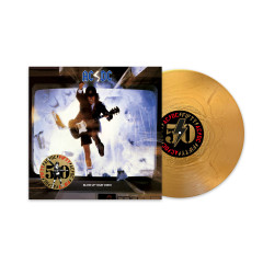 Blow Up Your Video LP