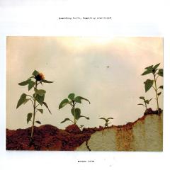 Something Built, Something Remembered LP