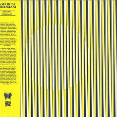 AMÉRICA INVERTIDA