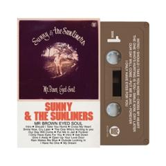 MR BROWN EYED SOUL (TAPE)