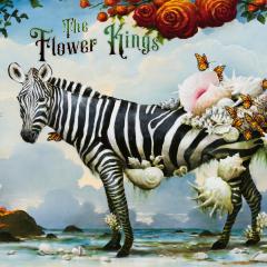 HOPE LP 2x12"