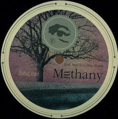 Methany / Losing Brave