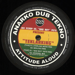 Anarko Dub Tekno: TekLarking