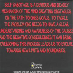 Autosabotaggio LP 2x12"