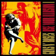 Use Your Illusion I LP 2x12"