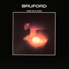 ONE OF A KIND LP