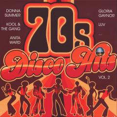 70s Disco Hits Vol. 2 LP