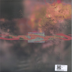 Blue Hour presents Omni 2x12"