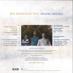 Falling Crystal LP