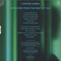 Detached From The Rest Of You LP