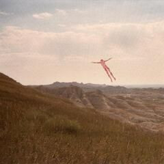 Skinless Takes a Flight LP