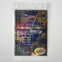 SOI48 - ADM: ASIA’S OWN UNHINGED CLUB CULTURE