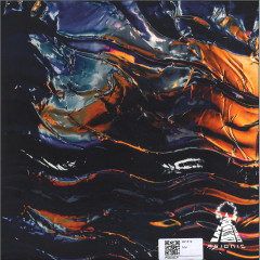 Disciples of Dystopia LP 2x12"