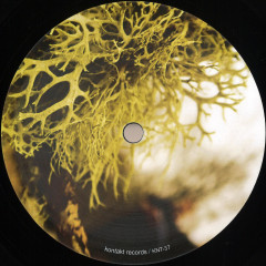 SUBDUCTION & SHADOWS