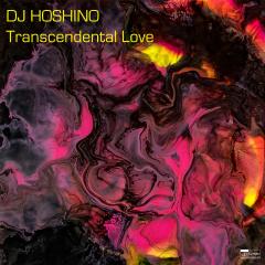 Transcendental Love Lp