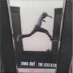 The Ecstatic (2x12")