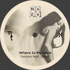 Where Is My Love
