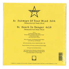 Subways Of Your Mind