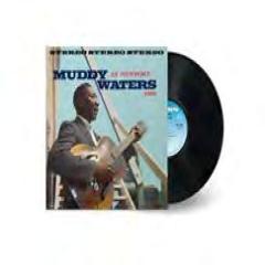 Muddy Waters At Newport 1960
