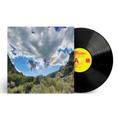 Fantastic Thoughts LP