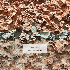 ALL HER PLANS LP