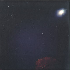 Living Room LP 2x12"