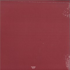 Astral Disaster Sessions Un / Finished Musics Vol. 2