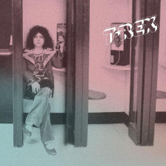 Molly Mouse Dream Talk LP