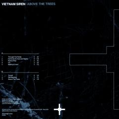Above The Trees