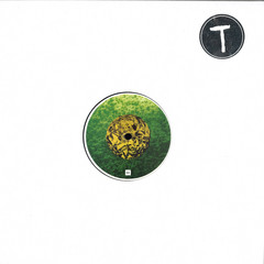Tinfoil006