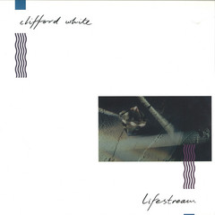 Lifestream