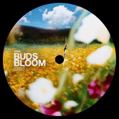 Buds Bloom 001
