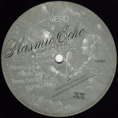 Plasmic Echo
