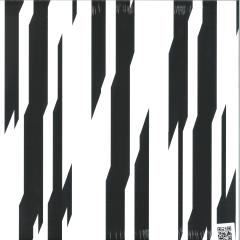 Diese Fragile Praesenz LP 2x12"