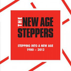 NEW AGE STEPPERS