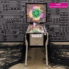 DER TRANSIENTE ZEUGE (LP 2x12")