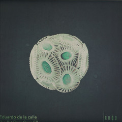 The Pat Price Case EP