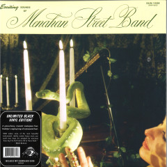 The Exciting Sounds Of Menahan Street Band