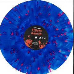 STRAYS WITH RABIES LP 2x12"