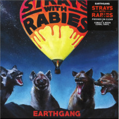 STRAYS WITH RABIES LP 2x12"