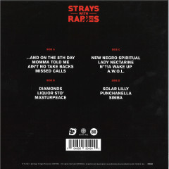 STRAYS WITH RABIES LP 2x12"