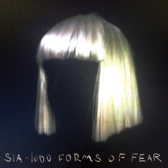 1000 Forms Of Fear (Deluxe Version) (2x12"