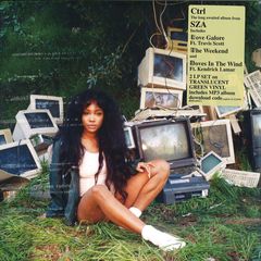 Ctrl LP 2x12"
