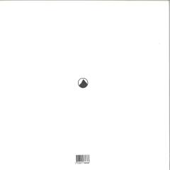 RIVAL CONSOLES (2x12")