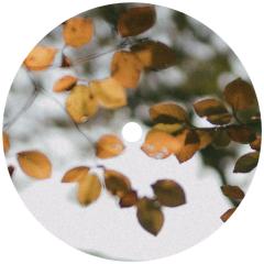 Bring Our Light To Every Corner LP