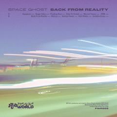 Back From Reality LP
